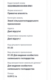 продаж бокової ділянки Софіївська Борщ